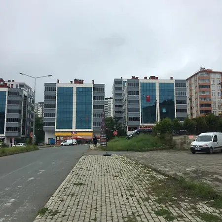 Havaalani *